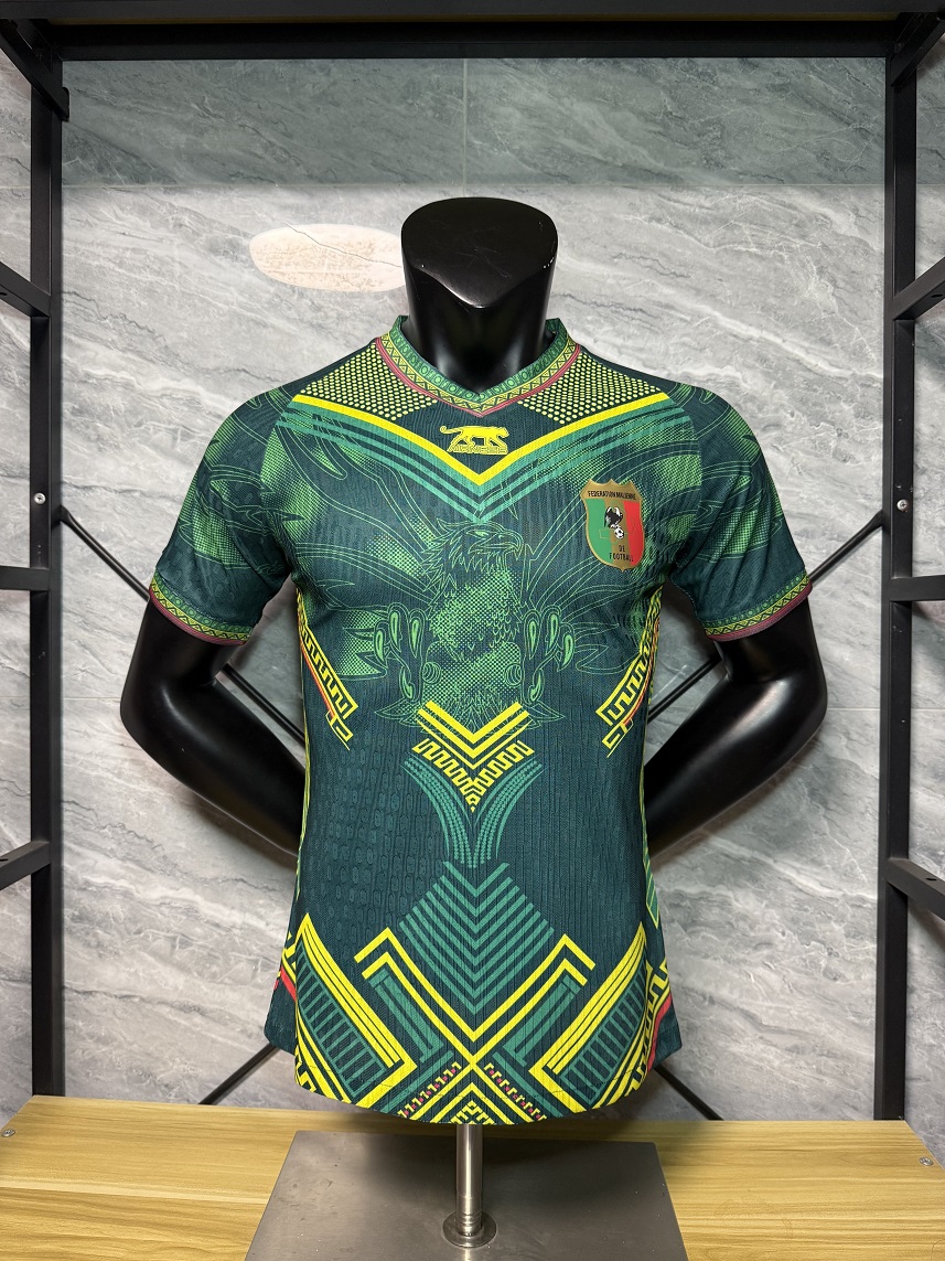 AAA Quality Mali 25/26 Special Green Jersey(Player)